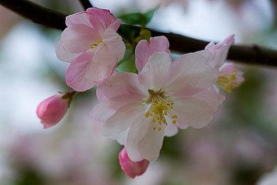 配音演员暗示 《死亡循环》续集或DLC正在开发中